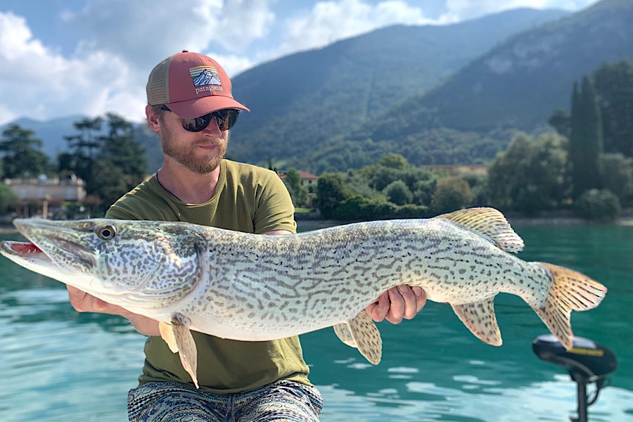 Southern Pike Species