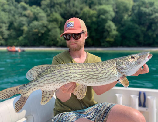 Southern Pike