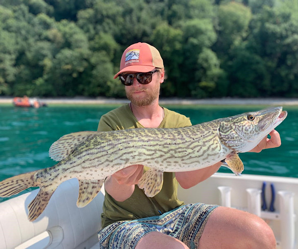 Southern Pike