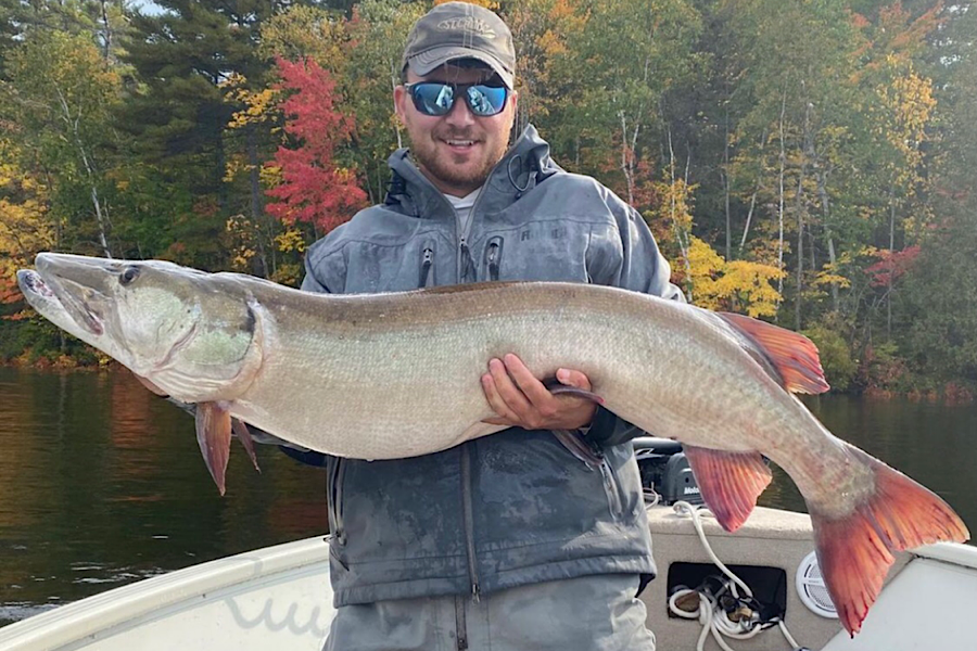 Muskie Pike Species