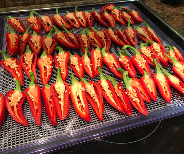 Carp Fishing Chilli additive