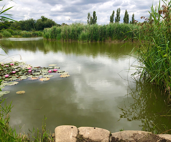 Redbridge Lakes