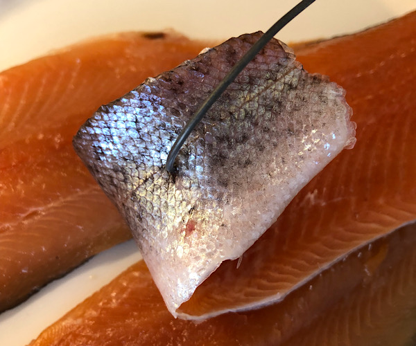 Fillet knife, trout tweezers