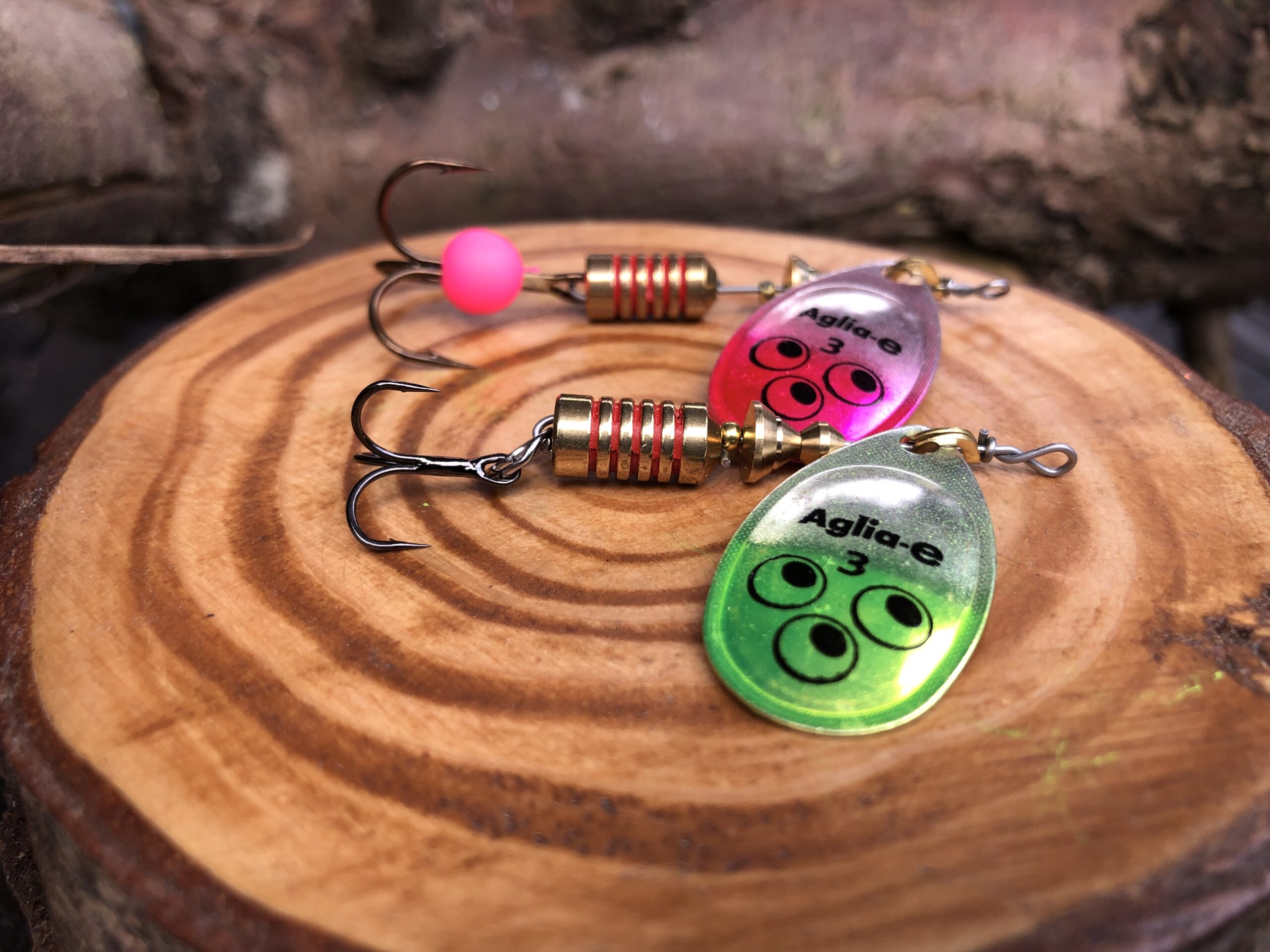 Spinning for trout with a Mepps Style Spinner Fishing Maverick