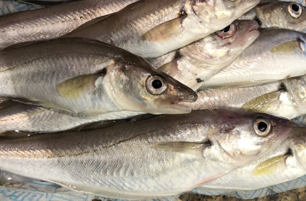 Whiting fish in a bag