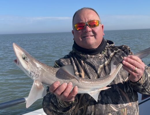 Man with a smooth hound fish