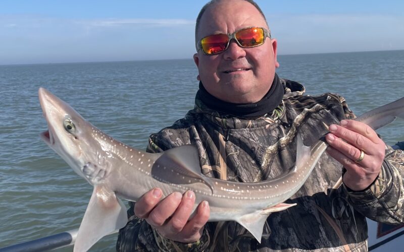Man with a smooth hound fish