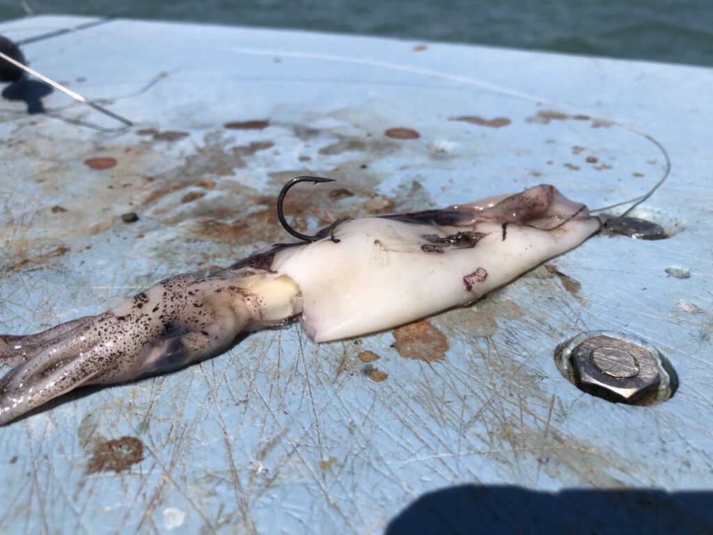 Squid with a hook in it