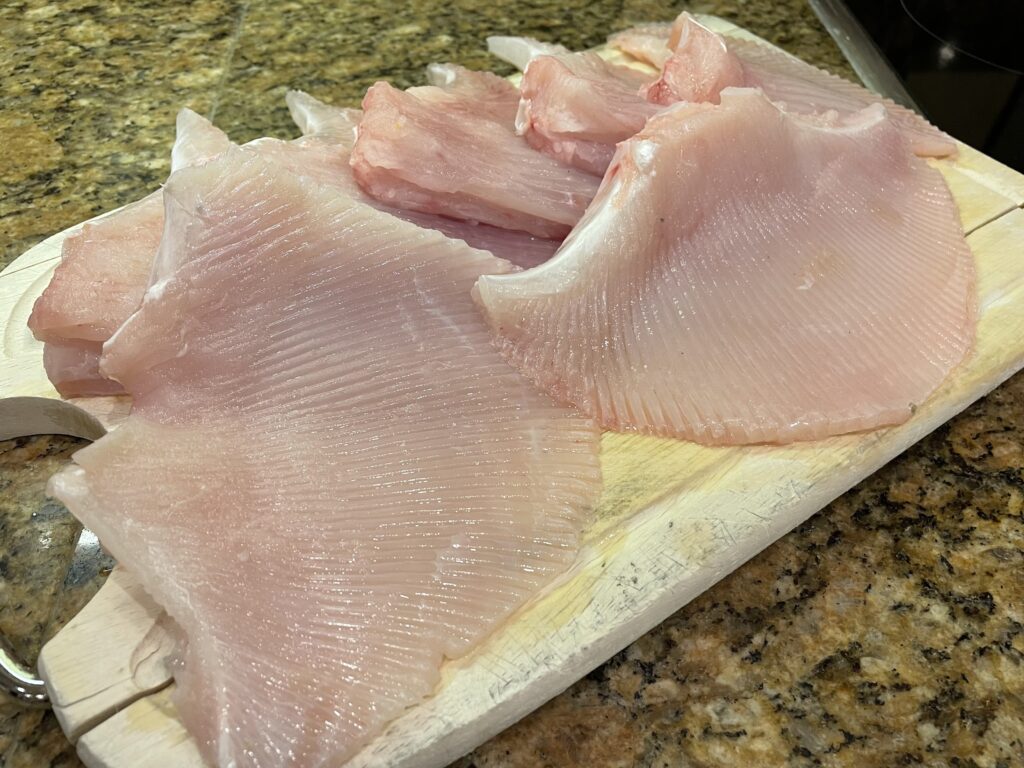 The spoils of a day fishing for thornback rays