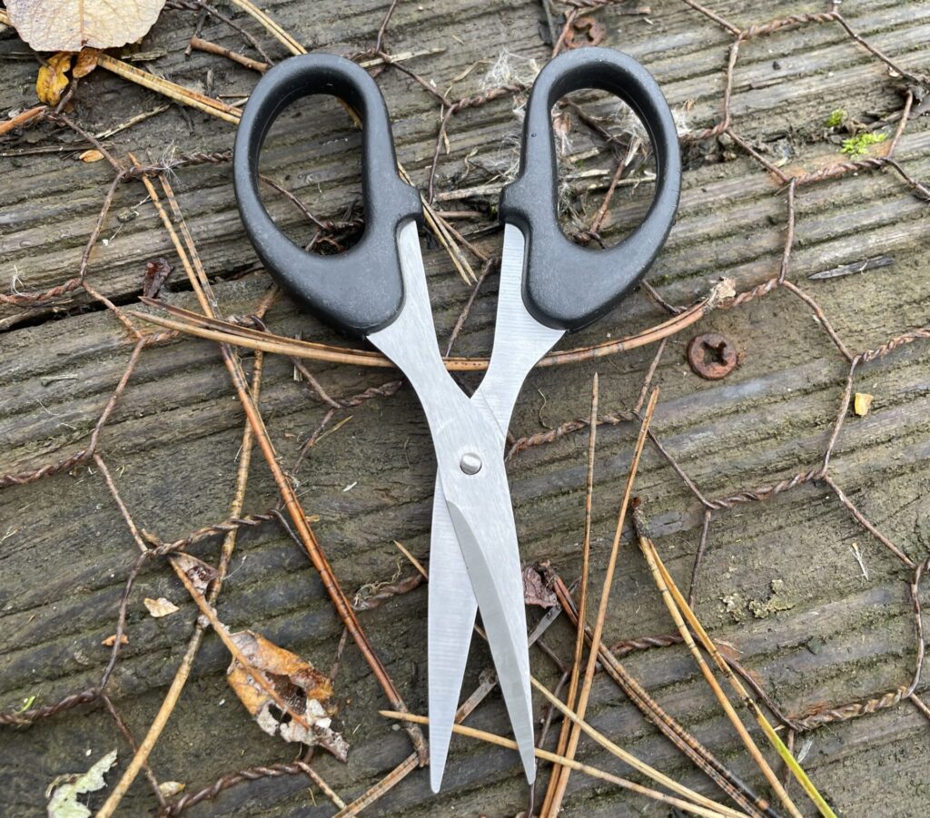Picture of a pair of fishing scissors