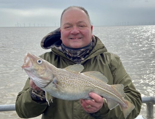 Cod Fish