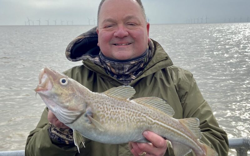 Cod Fish